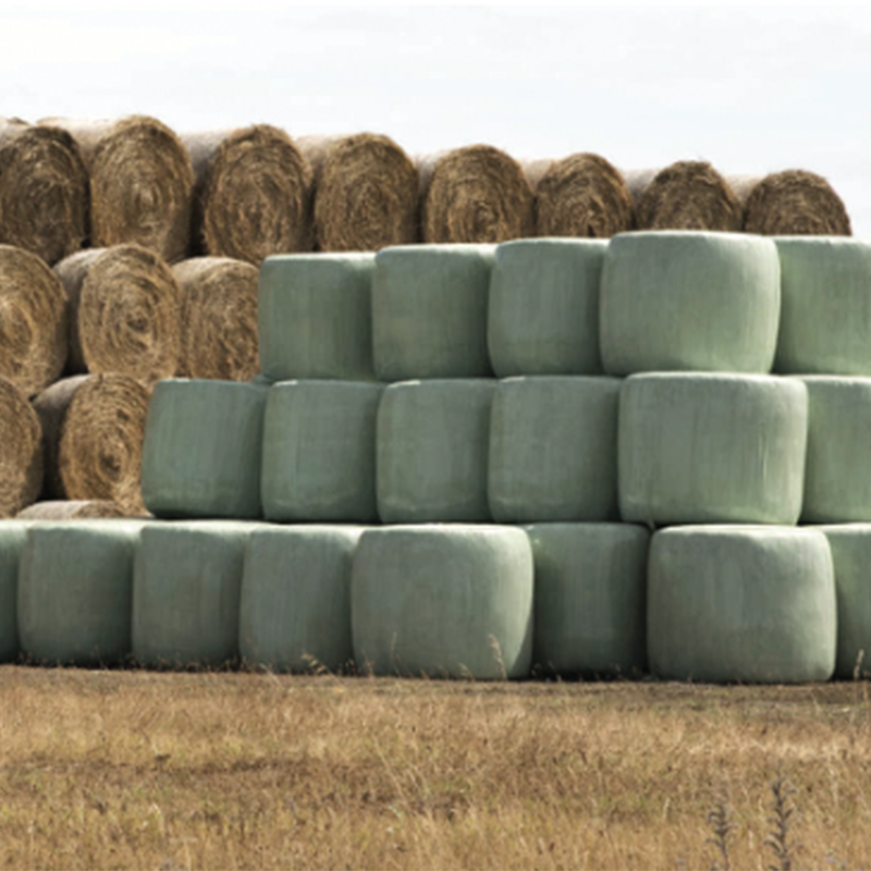 Silaj Filesi Silaj Streci